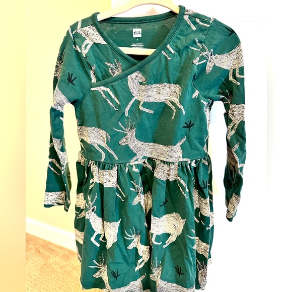 Tea Collection Other - Tea Collection Reindeer Green Dress